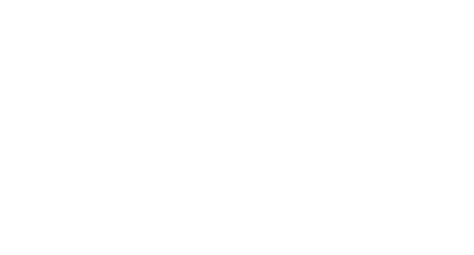 فروع صيانة فيتو